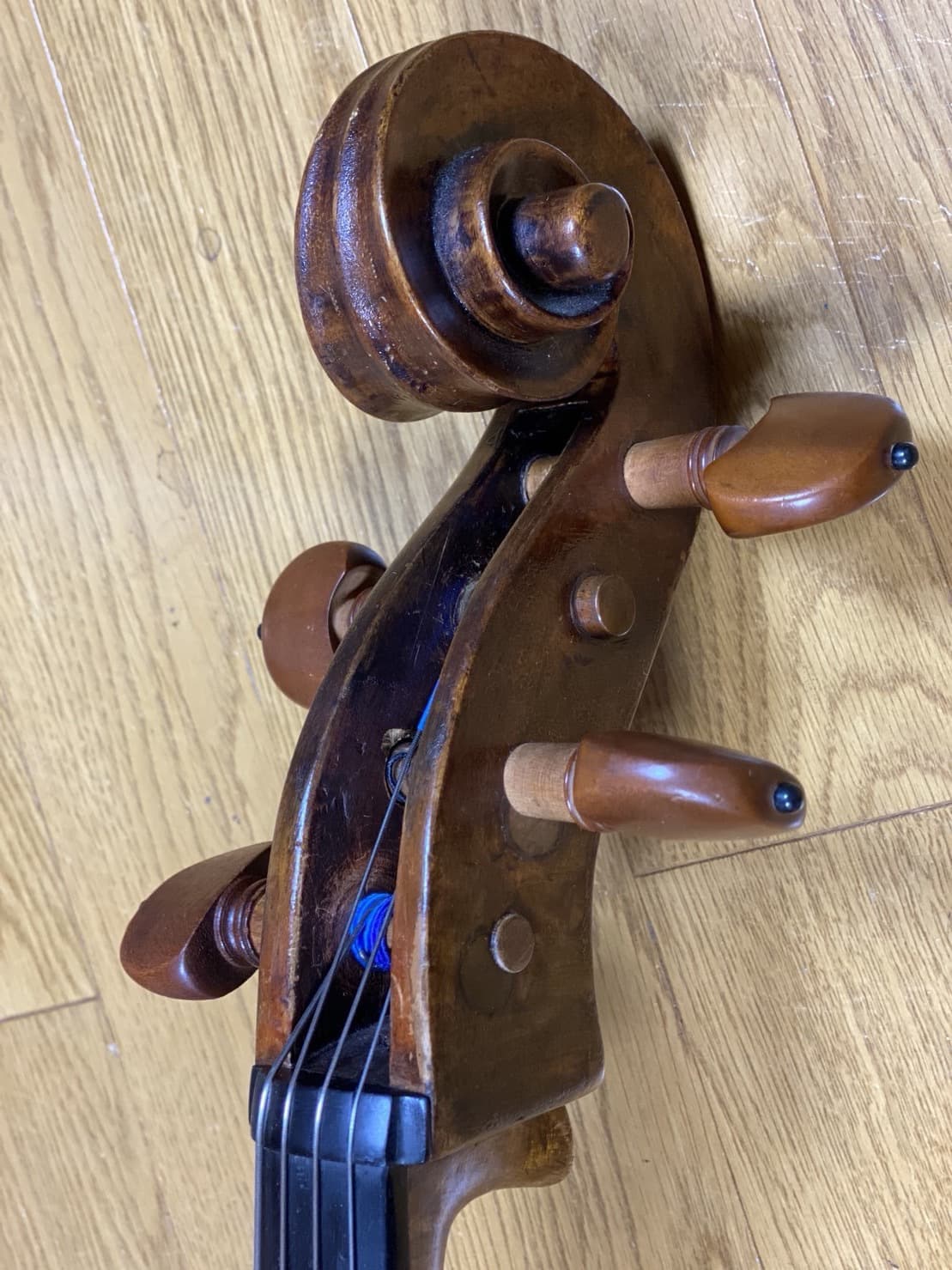 s__16908294.jpg